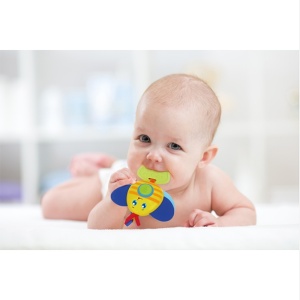 Igračka za bebe glodalica pčela Winfun 57798 - Img 2