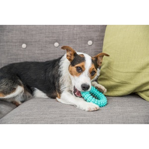 Igračka za pse Trixie Denta Fun Krug 12cm - Img 2