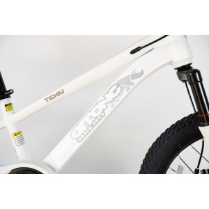 MTB Dečiji bicikl 20in Winner BIC.20/1-TN26Q03-WHITE čelik 115-135cm 1 brzina bela - Img 2