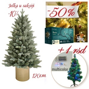 Novogodišnja jelka paket 1-2020