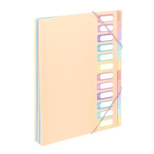 PVC Organiser sa 12 pregrada i gumicom Rainbow Pastel - Img 2