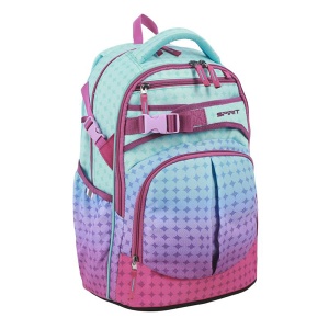 Ranac za školu Spirit Campus-X 06 33x22x46cm plava roze