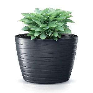 Saksija Maze 37x28cm Prosperplast 14464 - Img 2