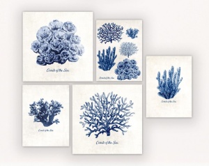 Slika Pizza Box 5u1 Blue Plants 022896