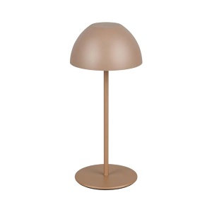Stona lampa Ortiz 2W 3000K Trio Lighting R55601165