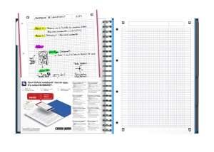 Sveska Oxford Office Essentials Europeanbook A4+ kvadratići, 4 Subject - Img 2