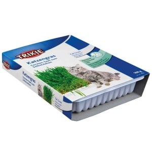 Trava za mačke 100 g u kutiji Trixie 13TRATR004235 - Img 2