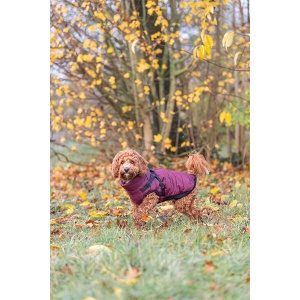 Zimska jakna sa amom za pse Trixie Pirou M 45cm bordo - Img 4