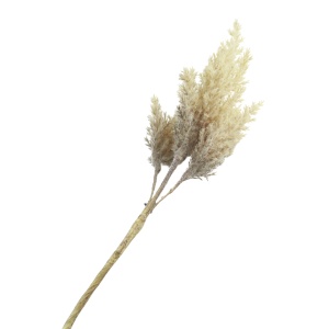 Cvet Astilbe 81cm braon 040142