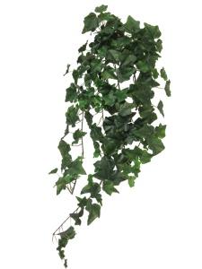 Cvet Chicago 86cm zeleni 040057