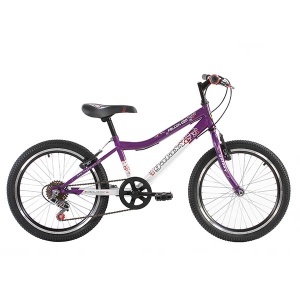 Dečiji bicikl Falcon 20inch 650058
