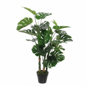 Drvo Monstera 100cm 040428 - Img 1