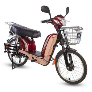 Električni bicikl 22 inča GLX-A-2 (D/S) 250W 48V/12Ah crvena 330021