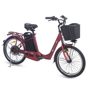 Električni bicikl 22