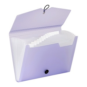 Expanding organizer sa 12 pregrada i gumicom PropySoft - Img 2