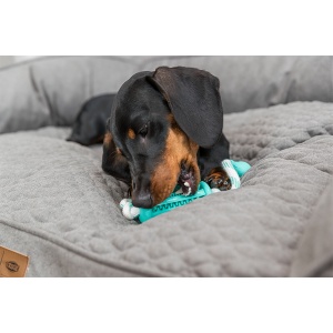 Igračka za pse Trixie Denta Fun štap na kanapu 9cm 37cm - Img 2