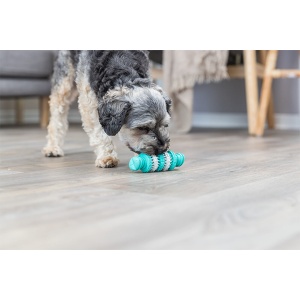 Igračka za pse Trixie Dentafun Kost 11cm - Img 2