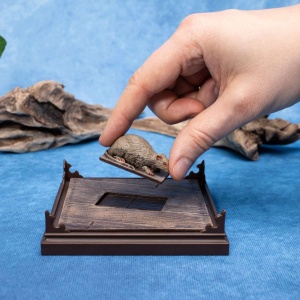Kolekcionarska figura magična bića Harry Potter Crookshanks - Img 5