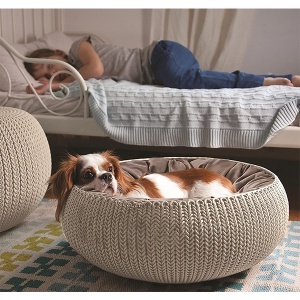 Krevet za kućne ljubimce Cozy boja peska 540x540x202mm Curver CU 228812 - Img 2