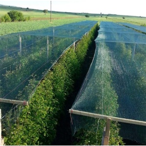 Mreža za zasenu 5x100m 600m2 1SZ6.0