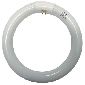 Okrugla fluo cev Elit T9 32W 6400K G10Q 220V ELF053
