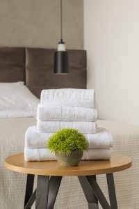Peškir Hotel Logo 500gr 70x140 020959