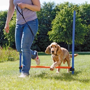 Štapovi za preskakanje prepona za psa 123x115x3cm Trixie 3207 - Img 3