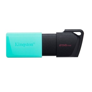USB DTXM/256GB Kingston 1265478 - Img 2