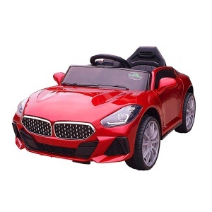 Automobil na akumulator model 254-1