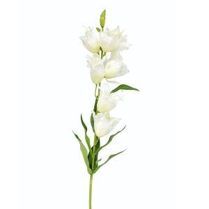 Cvet Lilly 1183181/2 beli 044762