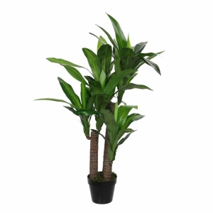 Drvo u saksiji Dracaena 150cm 041239