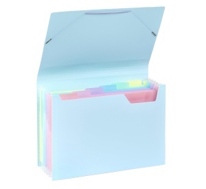 Expanding organizer sa 6 pregrada i gumicom Rainbow Pastel - Img 5