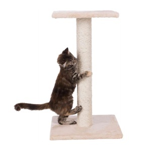 Grebalica za mačke Stub Espejo 69cm bež Trixie 43341 - Img 2