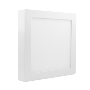 LED nadgradna panel lampa 12W dnevno svetlo Prosto LNP-P-12/W-B