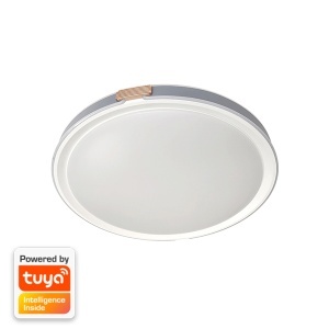 Led plafonjera 60W CCT dimabilna EL-2202 Smart Elmark 95EL220260CCT