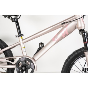 MTB Dečiji bicikl 20in Winner BIC.20/1 -TN24Q22 čelik 115-135cm 1 brzina roze - Img 4