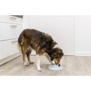 Plastična posuda za halapljive pse 450ml Trixie 25029 - Img 4