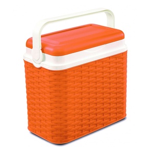 Ručni Frižider Piknik Ratan 10L 32694