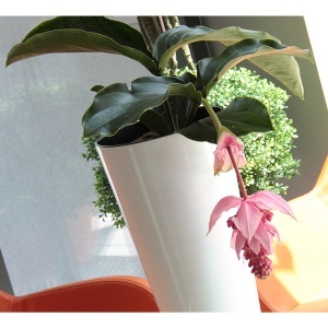 Saksija Tubus Slim 40x77cm Bela Prosperplast PR DTUS400S-S449 - Img 2