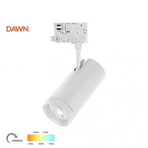 Šinski reflektor OPS-T6230 30W CCT beli Trof 300116