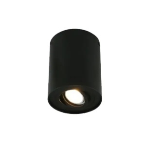 Spot lampa 1xGU10 E200829