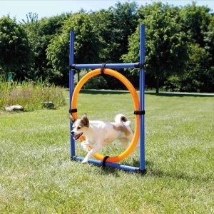 Trening Krug za psa 115cm/65cm Trixie 3208 - Img 2