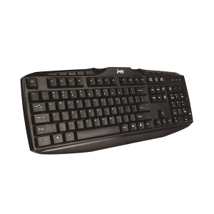 Žičana tastatura Master C100 US MS 1200390