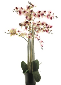 Cvet u saksiji Orhideja 110cm roze 040062
