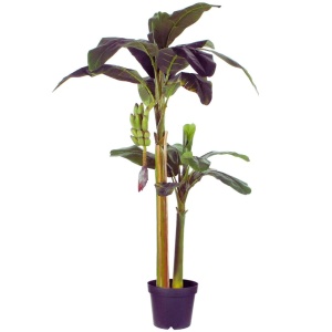 Drvo u saksiji Banana 180cm 041254