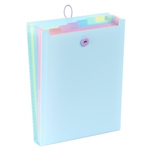 Expanding organizer sa 6 pregrada i gumicom USPRAVNI Rainbow Pastel - Img 5