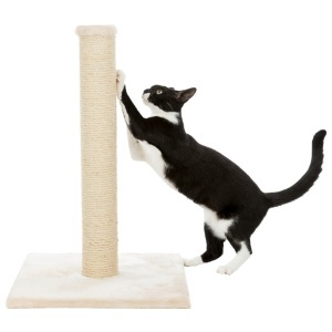 Grebalica za mačke Stub Parla 62cm bež Trixie 43331 - Img 3