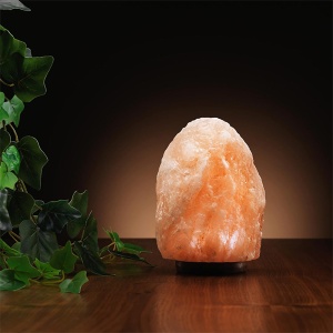 Himalajska slana lampa RGB 13501-5882