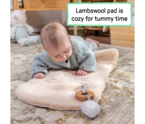 Ležaljka 0-30m Max 18kg Kids II Ingenuity Every Season Wesley SKU16855 - Img 2