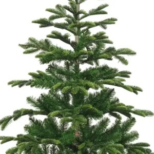 Novogodišnja jelka 150 cm zelena Balsamea Fir Everlands 68.4469 - Img 2
